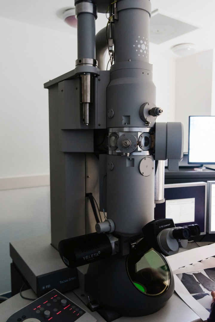 70 nanométeres metszeteken vizsgálhatók vele a szinapszisok és egyéb finom agyi struktúrák 20-100 ezres nagyításban