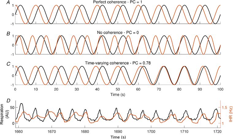 Az A-C sorok egy teljesen koherens, egy nem koherens, és egy időben változó koherenciájú jelpárt mutatnak. Az alsó a szívverésfrekvencia (narancs) és a lélegzés (fekete) összefüggését mutatja, melynél a koherencia időben változik. A PC érték a két csatorna koherenciájának erősségét mutató szám. Ezeket az értékeket ábrázolják az összes csatorna-pár esetében és használják később az összefüggések erősségének kiszámolására.