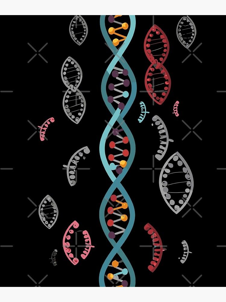 DNS művészi felfogásban