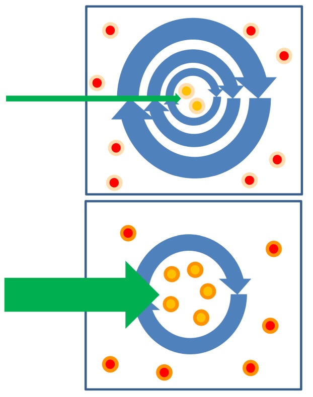 SWR állapotban (fent) a hálózat gyenge bemenetet kap és kevés sejtből indul az aktivitás, viszont az erős kapcsolatok miatt sokáig tart a rekurrens kapcsolatrendszerben az aktivitás. Gamma állapotban (lent) az erősn hajtott hálózatban sok sejt aktiválódik, de a gyenge kapcsolatok miatt hamar elhal az aktivitás, a rekurrens feldolgozás nem tart sokáig. 