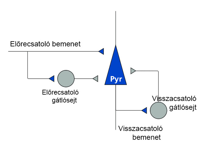 Az előre és visszacsatolt gátlást indító pályák diagramja. A Pyr-al jelölt serkentő piramissejten előre és visszacsatotl gátlást is közvetítő gátlósejtek fejtenek ki gátlást.