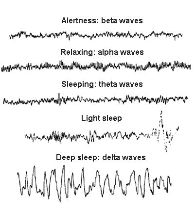 A különböző éberségi állapotoban megfigyelhető EEG jelek más jellemző frekvenciával rendelkeznek.