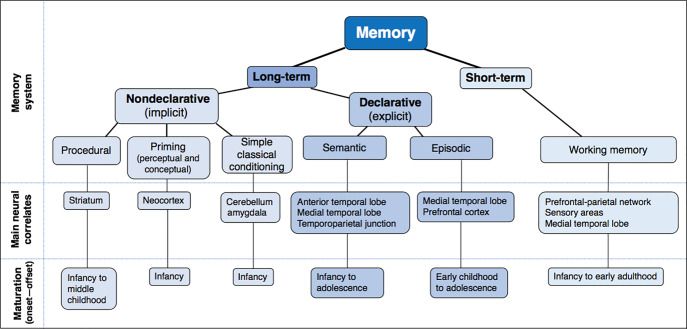 A tanulás és memóriarendszerek bonolultsága. Ez csak egy elrettentő ábra, majd az agyi rendszeek tárgyalásakor részletesen elemezzük.