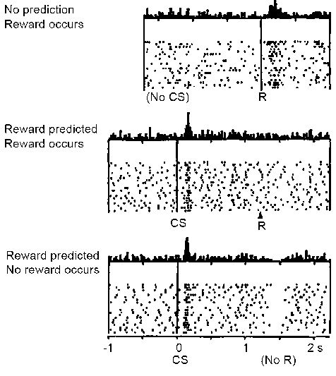 A Jutalom Jóslás Hibáját (Reward Prediction Error, RPE) jelző dopamin sejt aktivitása a VTAban. Felül egy váratlan jutalom érkezik (R), ezért a sejt aktív lesz, utasítja az agyat, hogy jegyezze meg ami történt, mert jutalomra vezet. . Középen egy ismert ingerre (CS) gyengén reagál a sejt, amikor a jutalom (R) megérkezik, mert már számított a jutalmazási rendszer a jutalomra. Jól válaszoltunk, nem kell tanulni. Alul a korábbi ígéretes ingerre (CS) gyenge válasz, De mivel nem érkezett jutalom (NoR) a dopamin sejt tüzelésének felfüggesztésével jelzi a negatív RPE-t, azaz hogy felejtsük el amit tanultunk, mert csalódást okozott. Dopamin ugye kétszer szabadul fel, először az ingerrel kapcsolatban jelzi mire számíthatunk, majd a jutalommal kapcsolatban jelzi, mennyivel több mint amire számítottunk.