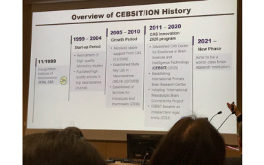 Bridging Brains. A HUN-REN KOKI és a sanghaji ION közös szimpóziumának első eseménye