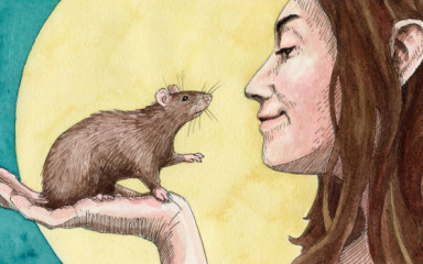 Az emberi gondolkodás plusszai: belső állapotok és többlépcsős gondolkodás