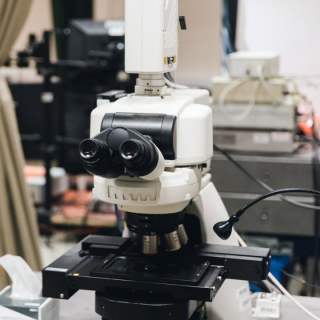Egy igásló, mindennapi használatra, a minták gyors vizsgálatára és fényképezésére. Egy anatómiai labor elengedhetetlen alapeszköze. Speciálisabb feladatokra a bonyolultabb mikroszkópokat használjuk.