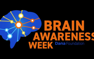 Az agykutatás művészete