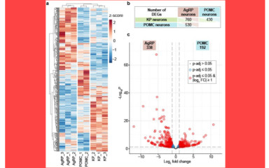 „Transcriptome profiling"