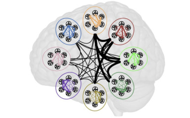 Az agyi (meta)hálózatok összefoglalása: Visszatekintés – kitekintés