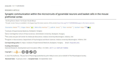 Zsuzsi's paper was accepted in The Journal of Physiology