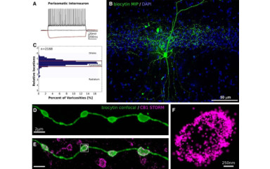 200 éve lendületben a tudomány