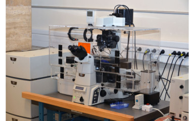 Nikon Ti A1R Konfokális Mikroszkóp