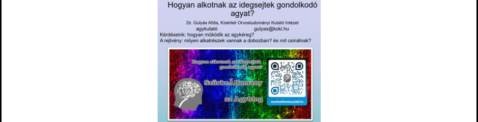 Agyséta tömörítve: Agyműködésről szóló előadás az interneten