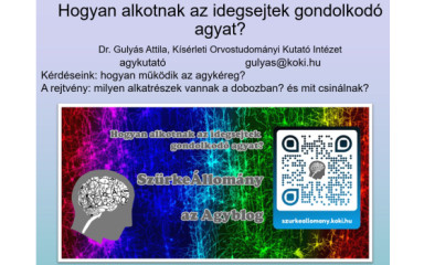 Agyséta tömörítve: Agyműködésről szóló előadás az interneten