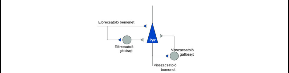 A gátlósejtek szerepe és működése II: Előrecsatolt és visszacsatolt gátlás