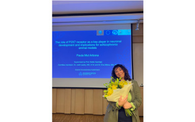 Paula Mut Arbona, member of our group, successfully defended her PhD Thesis