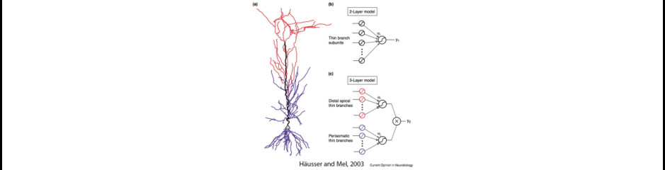 A bonyolult neuron modell II