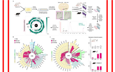 Why is it good to know the transcriptome? The importance of a method and the benefits of the results