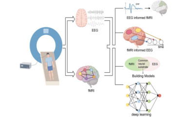 Az idegsejtek suttogásának meglesése IV: Hogyan vizsgálható az idegsejtek működése és a tudatállapotok közötti összefüggés?