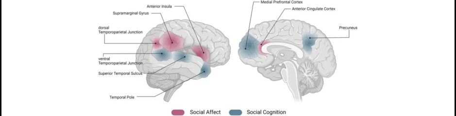 Jobb együtt, mint egyedül: Miért és hogyan okoznak a társas kapcsolatok örömet?
