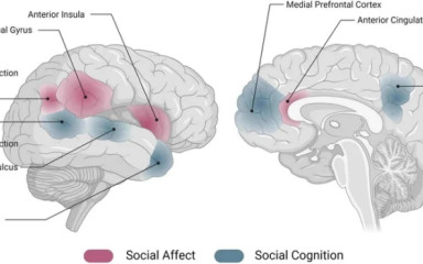 Jobb együtt, mint egyedül: Miért és hogyan okoznak a társas kapcsolatok örömet?
