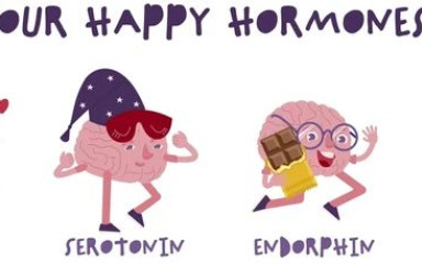 Hogyan vált ki a dopaminfelszabadulás örömet és sikerélményt