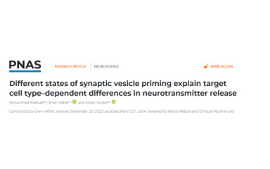 Our new new study on synaptic phisiology is out in PNAS