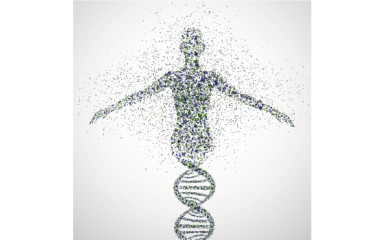 Hány génünk van és ezek hányféle módon kapcsolódhatnak be?