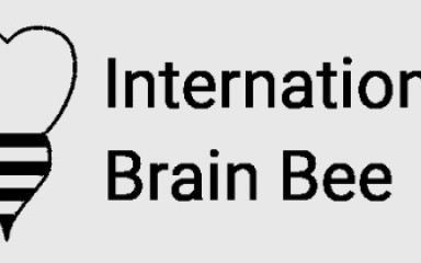 Zümmögés az agy körül: Te is vegyél részt az IBB versenyen