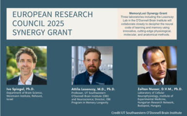 SYNERGY GRANT 2025: Nusser Zoltán, Losonczy Attila, Ivo Spiegel