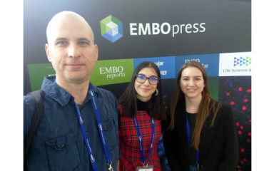 Anna, Aletta and Sanyi participated on EMBO conference