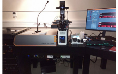 Abberior Instruments Facility Line STED Microscope