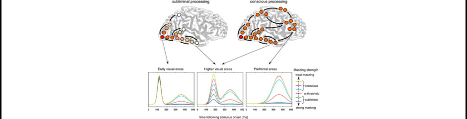 Az agyi területek összhangjának és működési módjainak összehangolása I: a homloklebeny, mint a tudatosság központja